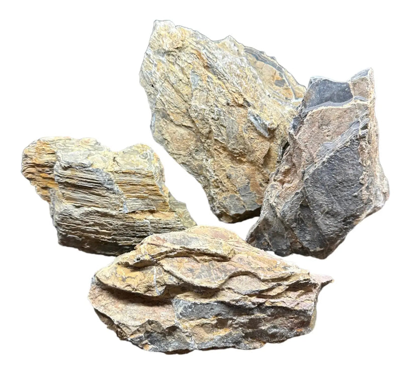 Moon Ring Rock Aquascaping Stone | Aquatic Motiv