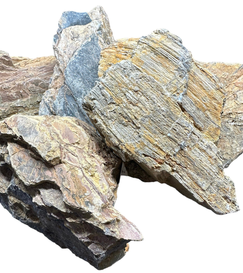 Moon Ring Rock - AquaticMotiv