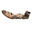 Mopani wood driftwood sculpture with natural textures and earthy tones