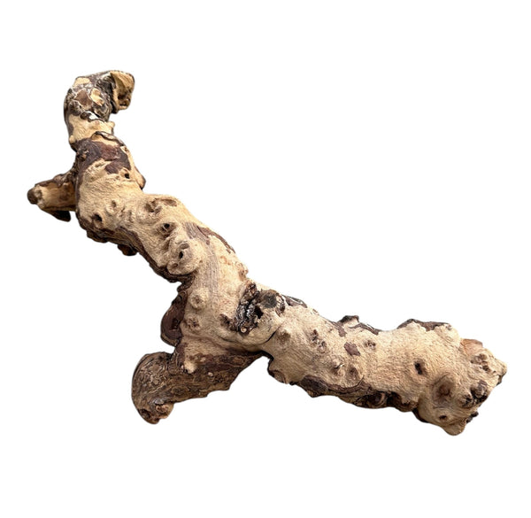 Mopani Wood - [AquaticMotiv]