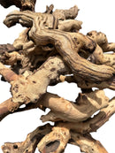 Mopani wood driftwood sculpture with natural curves and knots