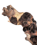 Mopani wood driftwood sculpture with natural textures and dark brown hues