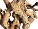 Dried ginger root with knobby texture in earthy brown Mopani Wood