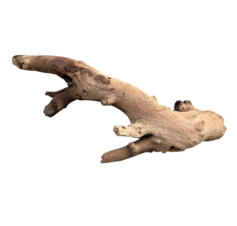 Mopani Wood - [AquaticMotiv]