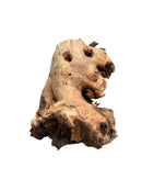 A weathered light brown mopani wood stump with dark knots and rough organic textures made from driftwood
