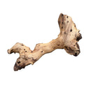 Natural mopani wood stump with light tan and dark brown driftwood branch featuring knotted textures and organic curves