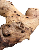 Mopani Wood Stump - [AquaticMotiv]