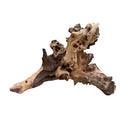 A weathered mopani wood stump with rugged texture and twisted light tan and dark brown driftwood hues