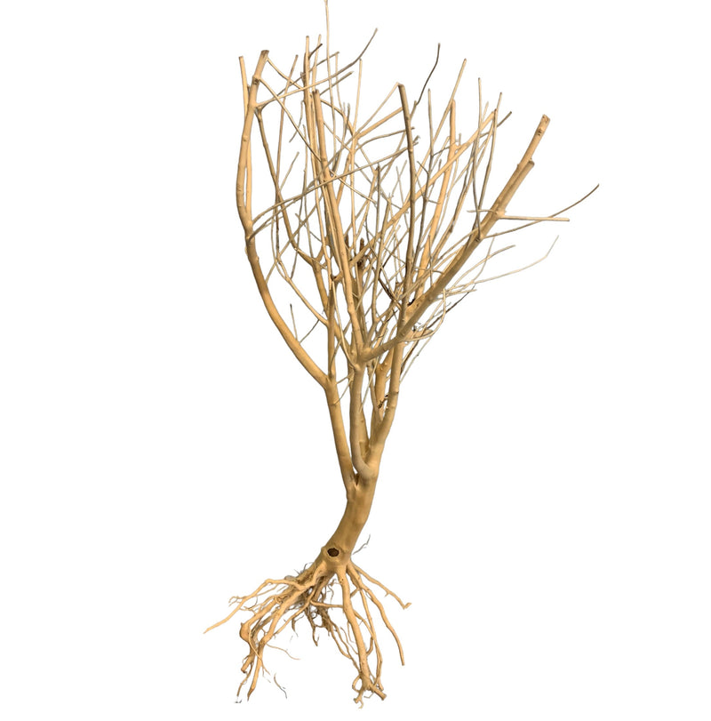 Moss Tree Driftwood - AquaticMotiv