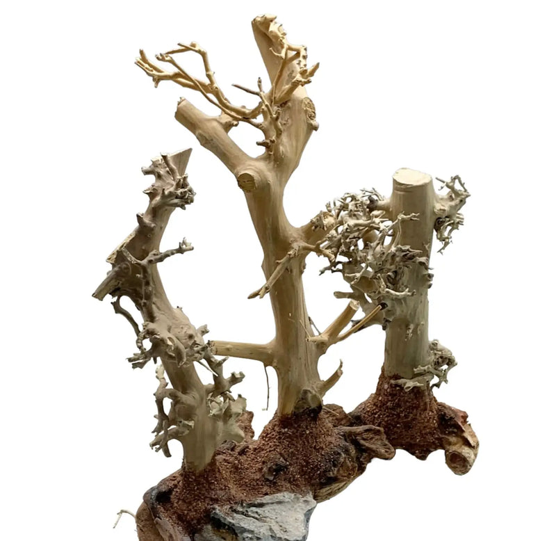 Natural driftwood ornament 3-in-1 aquarium decor with earthy textures