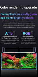 Netlea AT5s V3 - [AquaticMotiv]