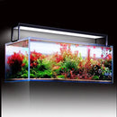 Netlea AT5s V3 sleek rectangular glass aquarium with lush red and green plants