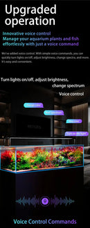 Sleek Netlea AT5s V3 aquarium with vibrant red and green plants under colorful LED lighting