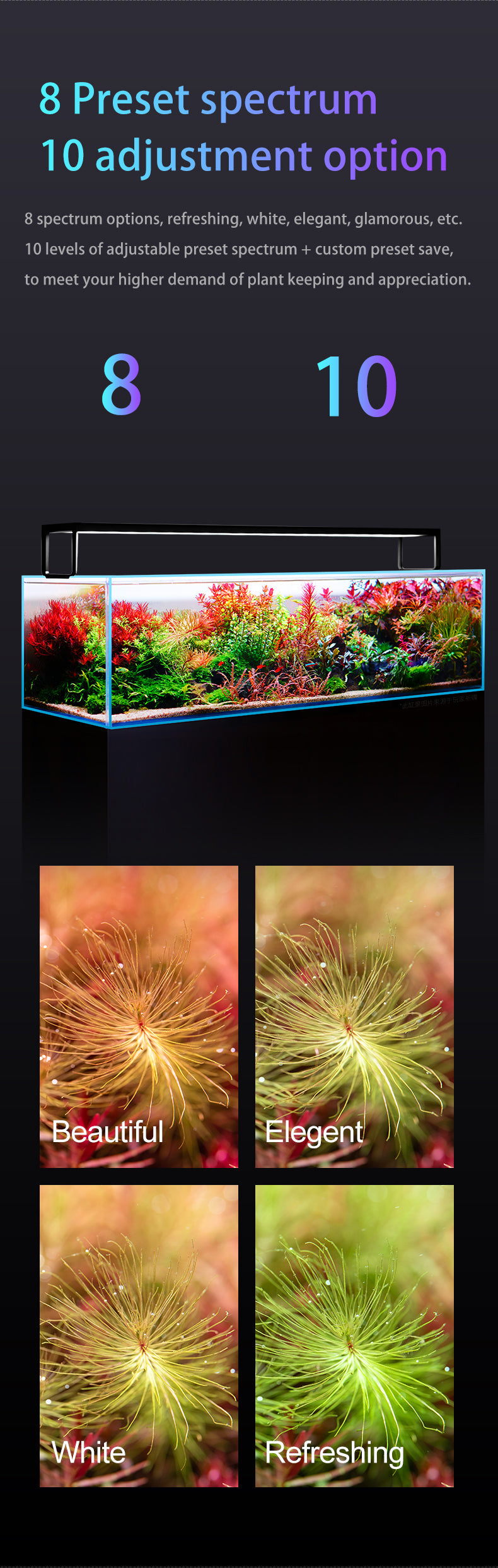 Netlea AT5s V3 - [AquaticMotiv]