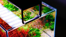 Netlea AT5s V3 sleek black aquarium light over red green plants