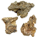 Fossilized bone fragments in Okho Dragon Stone product