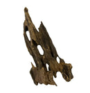 Okho Wood driftwood sculpture with natural holes and brown textures