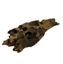Okho Wood driftwood piece with natural holes and brown texture