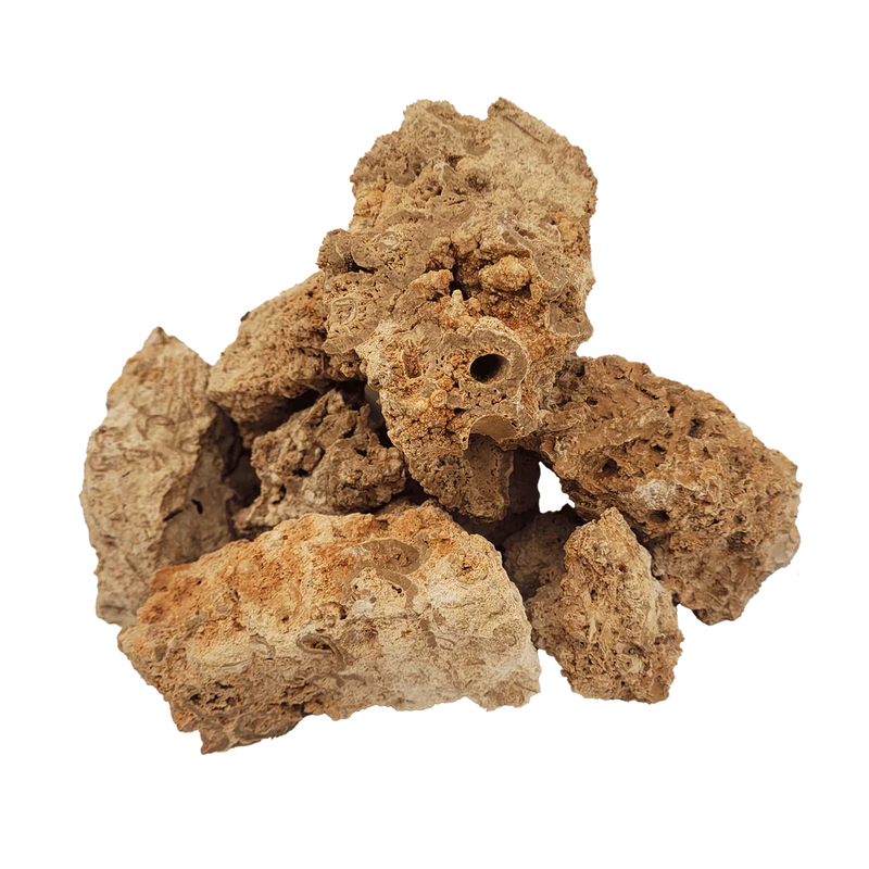 Paleorock Nano Rock - [AquaticMotiv]