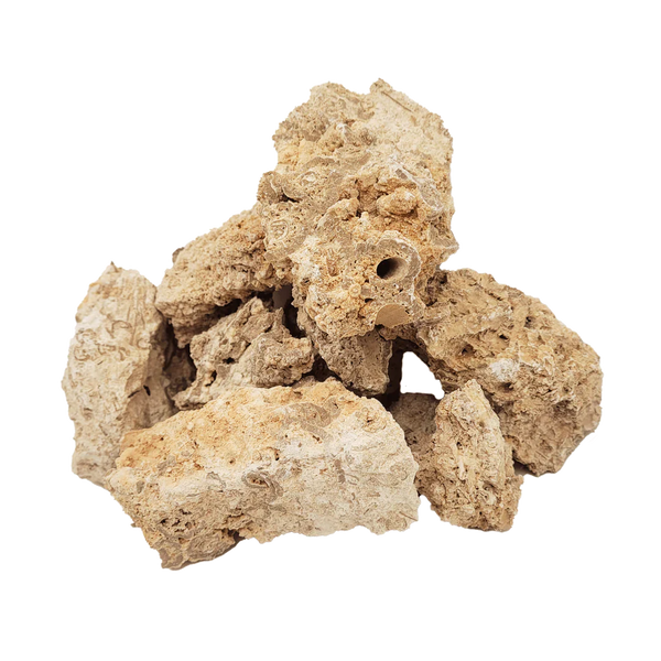 Paleorock Nano Rock - [AquaticMotiv]