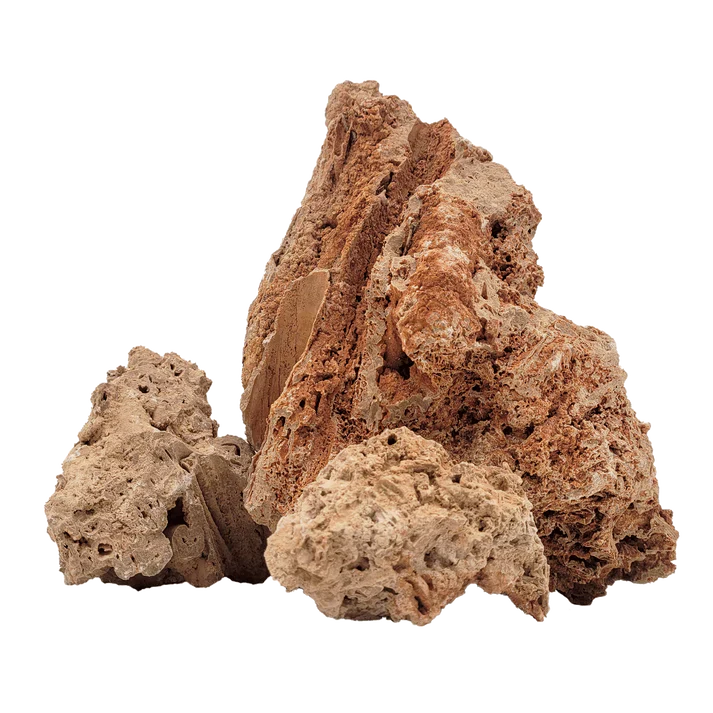 Paleorock Stone - [AquaticMotiv]