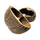 Two dried fibrous coconut shell halves with rough brown exterior and tan interior, Palm Pods 2-pack