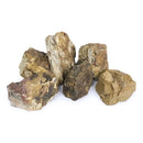 7-inch petrified wood chunks in natural brown and tan hues with rough texture