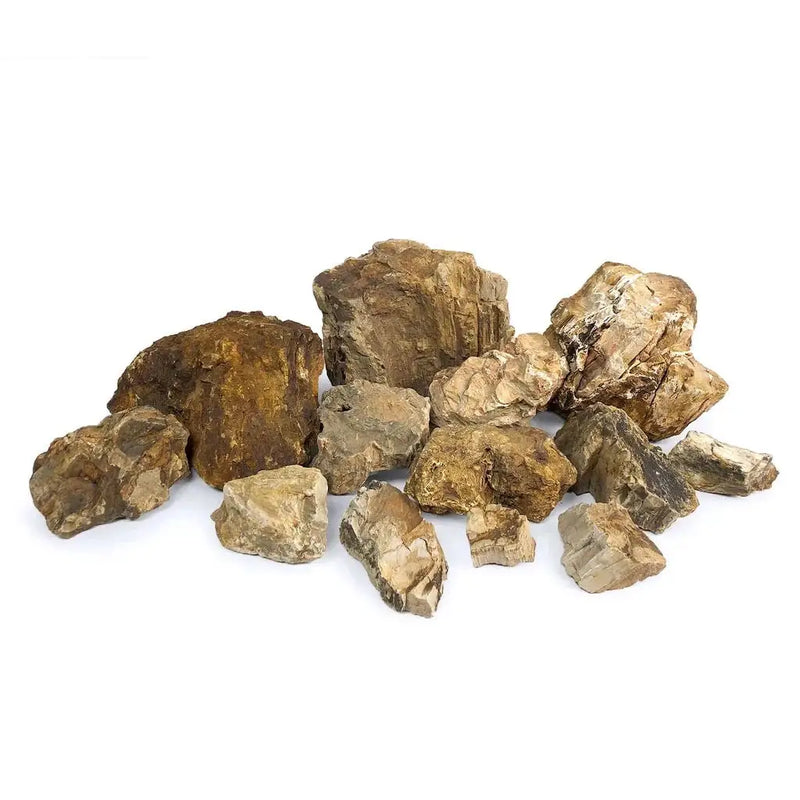 Brown and tan petrified wood stone pieces, natural material