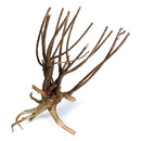 Natural Pine Tiger Wood driftwood with intricate branching texture