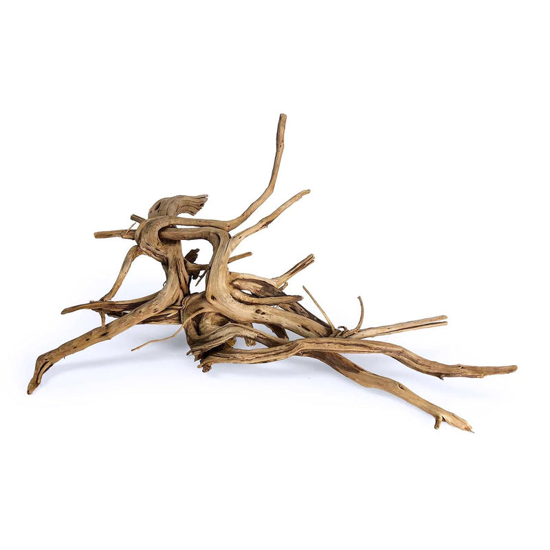 Pine Tiger Wood - AquaticMotiv