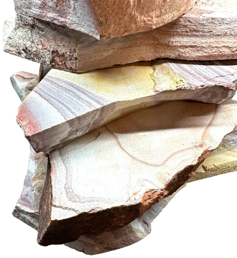 Multi-colored petrified wood slice coaster set in Rainbow Slate Stone