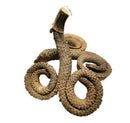 Dried brown ramshorn pods with a rough textured surface and natural spiral coils for herbal use