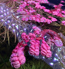 Red Root Floaters (Phyllanthus Fluitans) - AquaticMotiv