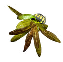 Red Rubin Sword (Echinodorus Horemanii E. Barthii) - AquaticMotiv