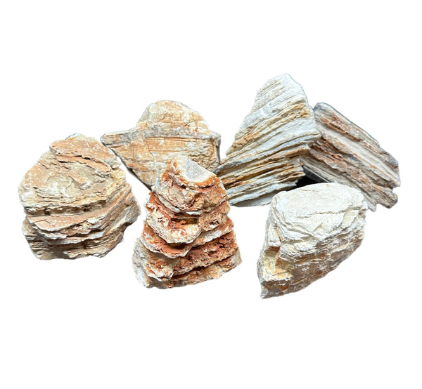 Scenery Rock - AquaticMotiv