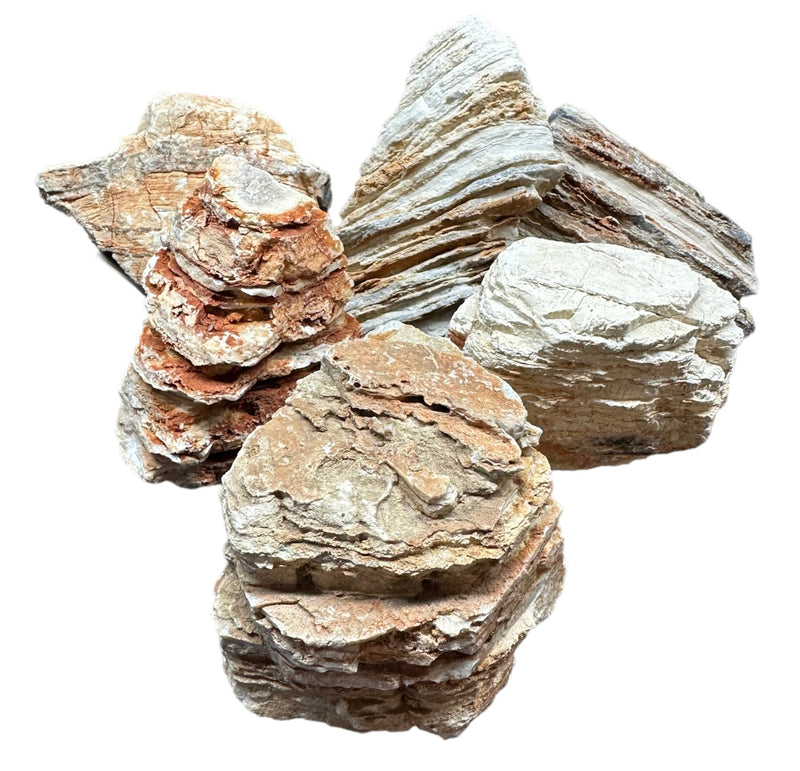 Scenery Rock - AquaticMotiv