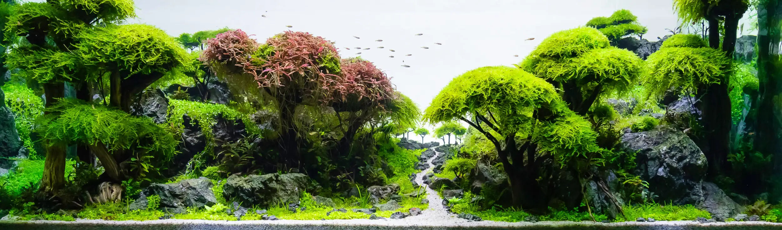 Lush green and reddish-brown moss-covered trees with dark rocky terrain form a serene, miniature forest landscape.