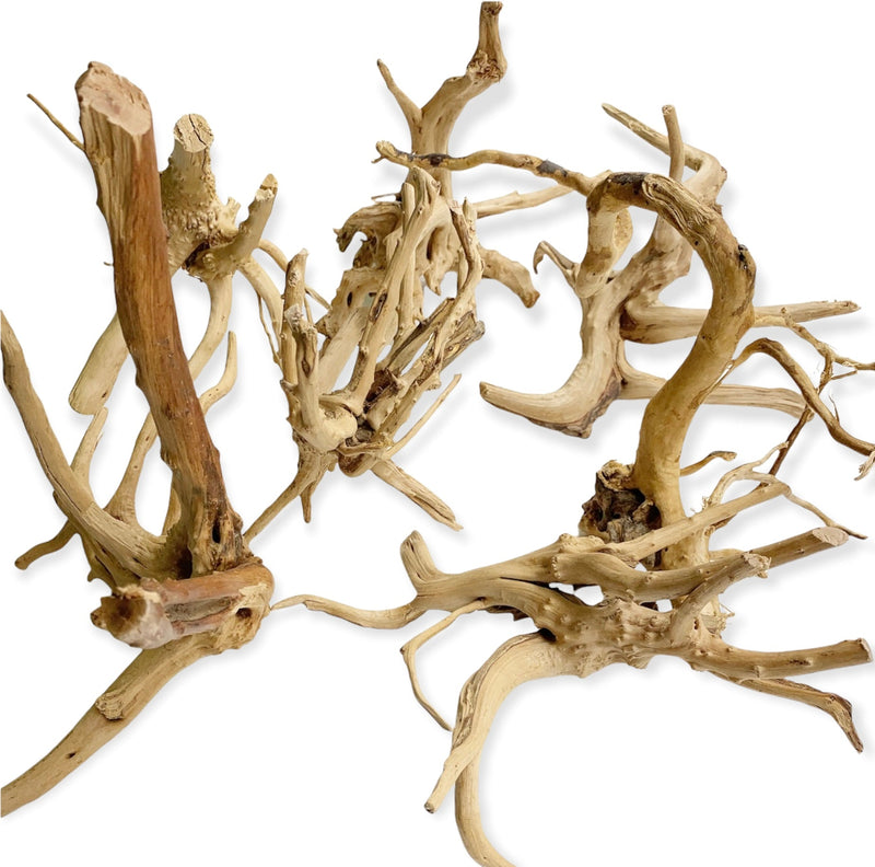 Spider Wood - AquaticMotiv