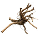 Driftwood branch with natural brown Spider Wood texture design