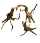 Driftwood Spider Wood sculpture set of three in natural brown tones