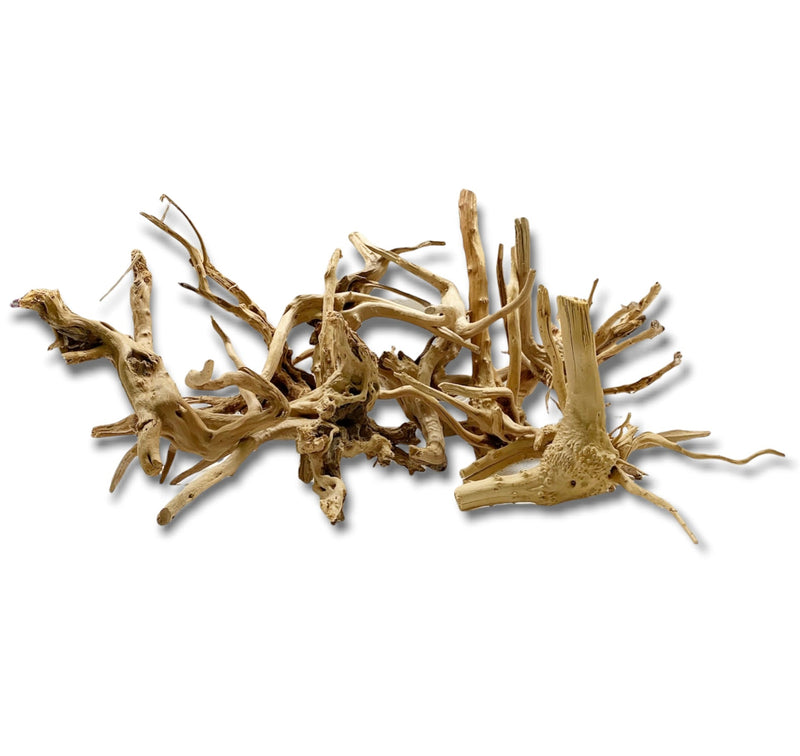 Spider Wood - AquaticMotiv