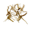 Natural dried ginseng roots in light brown and beige, Spider Wood product
