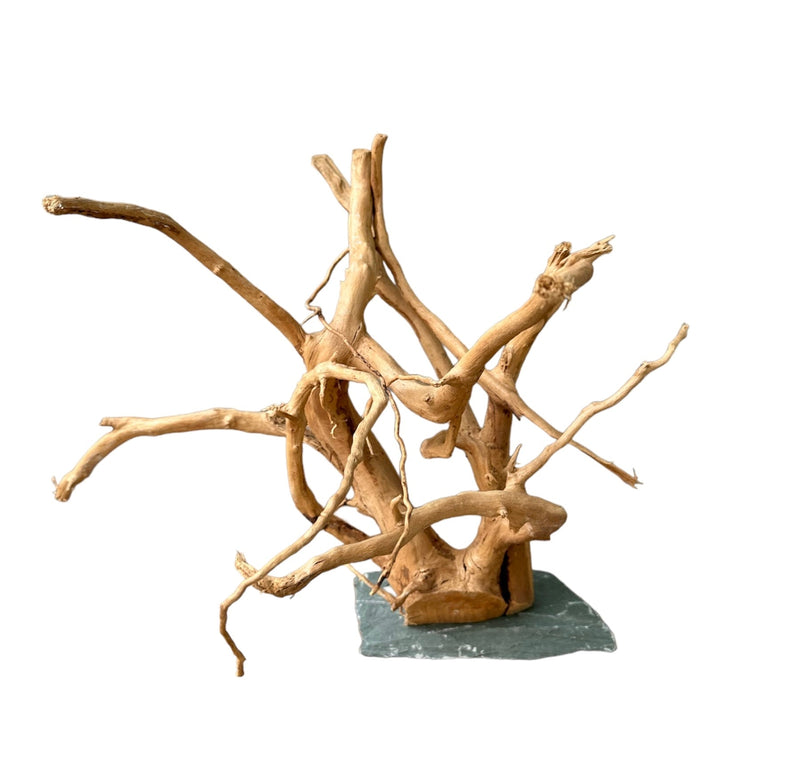 Spider Wood on Slate - [AquaticMotiv]