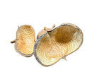Dried light brown sterculia pods with textured inner surfaces and rough outer shells for decorative use