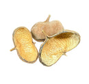 Sterculia pods showing dried light brown peanut shells with textured inner surfaces and natural curled edges
