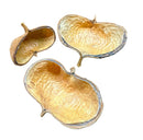 Three dried sterculia pods with textured golden brown interior and slightly curled edges for decorative use