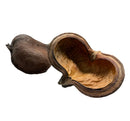 Split dark brown Sterculia pod shell with rough exterior and tan interior