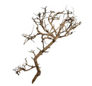 Thorndevil Driftwood: dried gnarled branch with natural brown bark texture