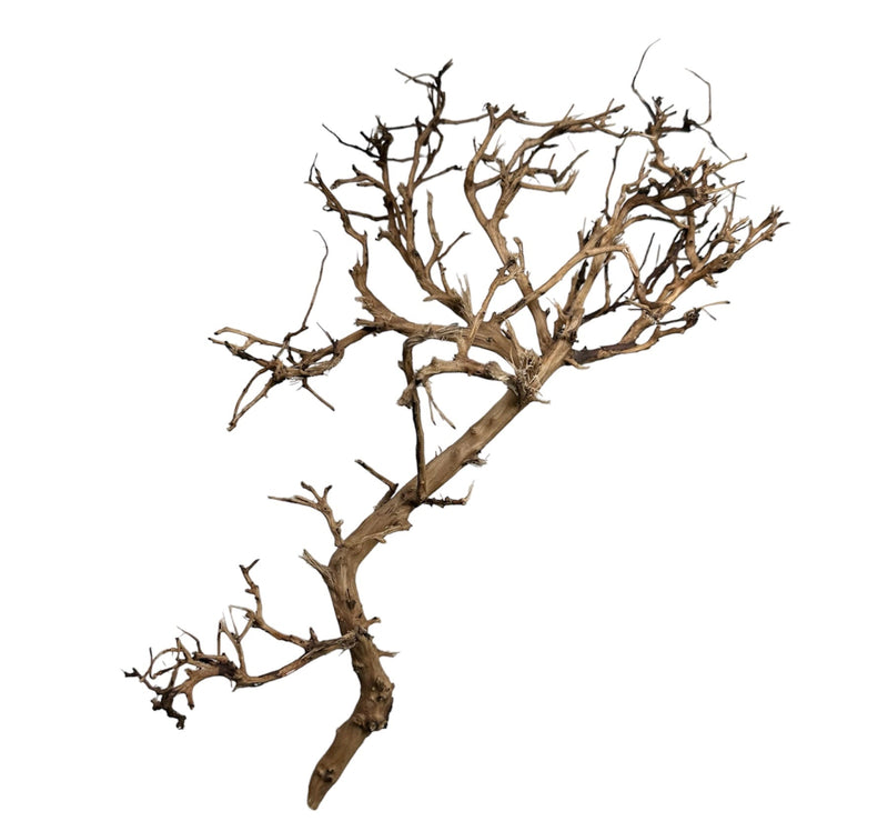 Thorndevil Driftwood - AquaticMotiv