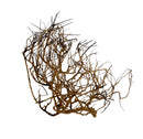 Thorndevil Driftwood - AquaticMotiv